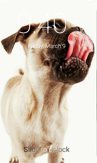 小编分享轻松学会玩狗舔屏幕的方法我来教你截图