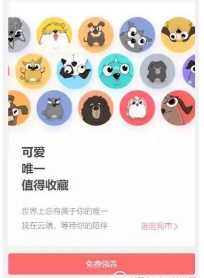 领养百度莱茨狗的图文教程截图