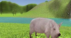 今天说说在抖音里模拟猪进不去的解决方法。