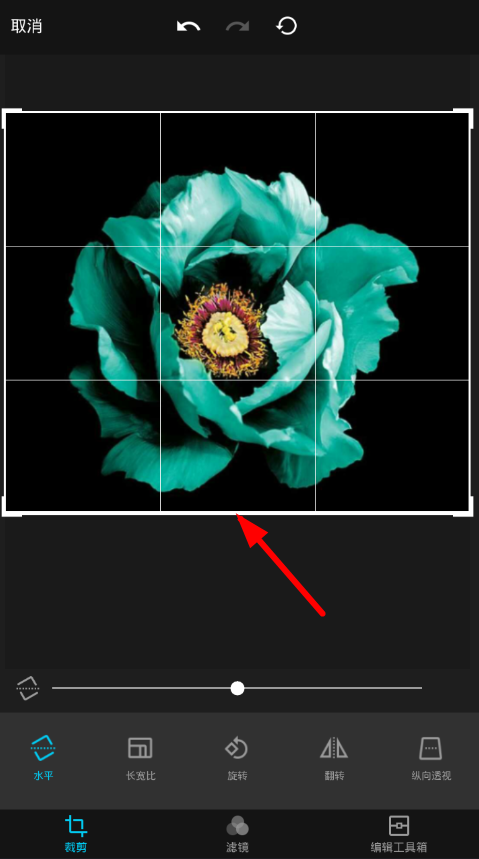 在Mix滤镜大师中裁剪图片的方法介绍截图