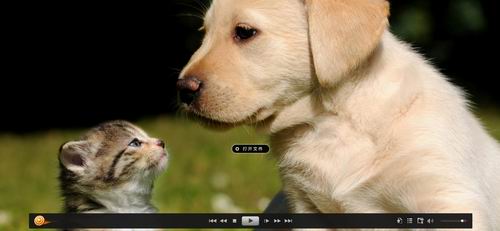 今天分享在射手播放器中修改字幕的图文教程。