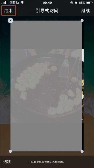 苹果手机退出引导式访问的方法介绍截图