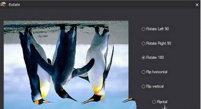 小编教你在图片工厂中旋转图片的具体步骤。