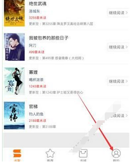 今天分享在奇热小说中进行充值的步骤讲解。