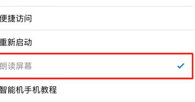 iphonex朗读屏幕的操作流程截图