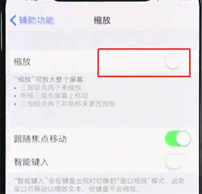 iphonexr使用缩放的详细操作过程截图