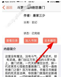 在龙腾小说中下载小说的详细步骤截图