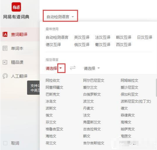 使用有道词典软件翻译句子的具体步骤截图