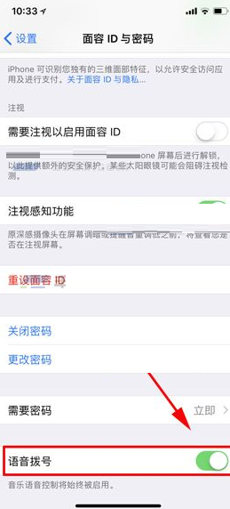 iPhone X设置语音拨号的操作过程截图