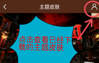 爱奇艺APP设置皮肤的具体步骤截图