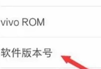 vivoS1pro连接电脑的具体操作步骤截图