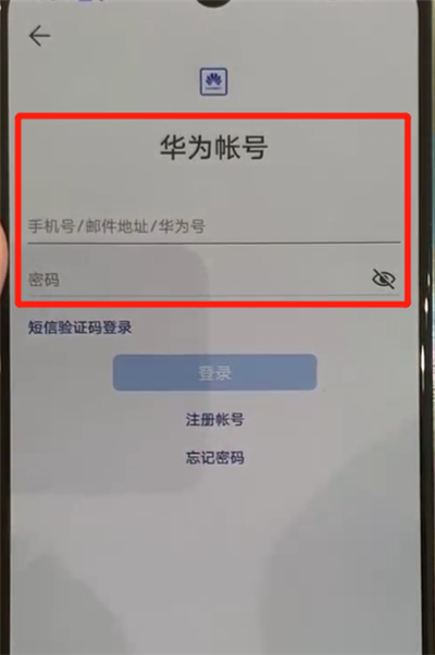 华为p30pro更换主题的具体操作方法截图