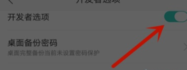 realme x关掉开发者选项的具体操作教程截图