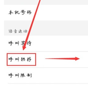 vivoS1pro设置呼叫转移的具体操作截图
