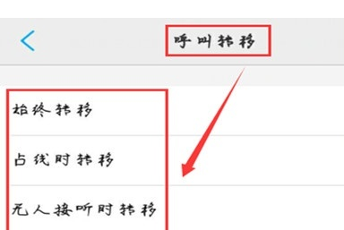 vivoS1pro设置呼叫转移的具体操作截图