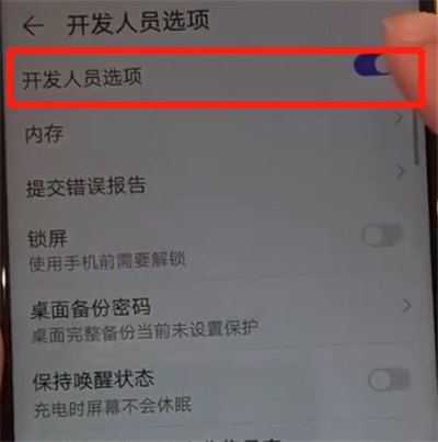 华为nova4将开发者选项打开的具体使用教程截图