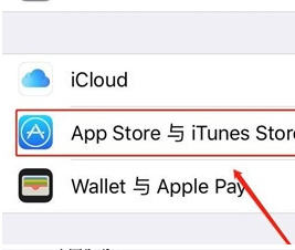 苹果手机找到设置订阅服务位置的相关操作教程截图