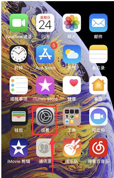 苹果xr设置控制球的详细操作流程截图