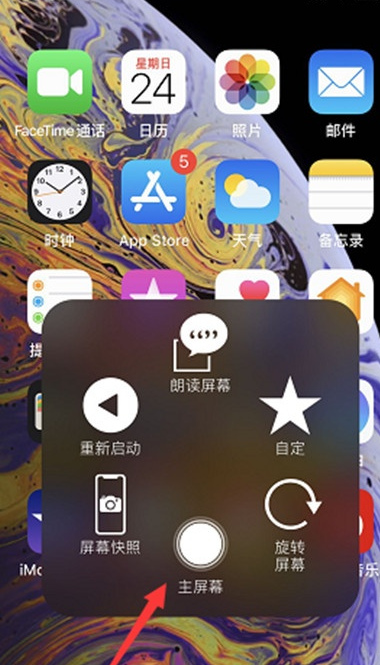 苹果xr设置控制球的详细操作流程截图