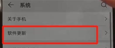 华为nova5关闭自动更新的使用步骤截图