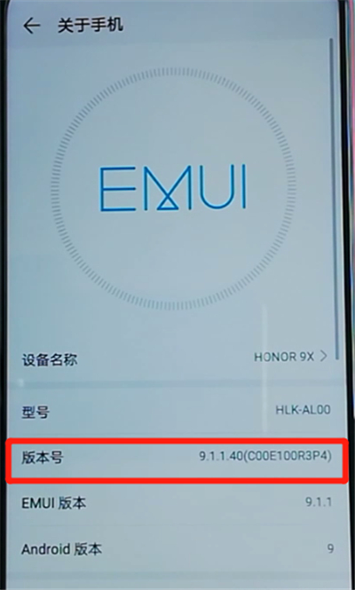 荣耀9x中打开开发者选项的操作教程截图