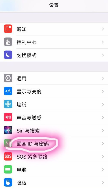 在iPhone xs max中设置人脸识别的图文教程