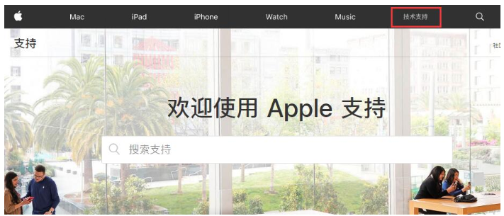 iPhone查询维修记录的操作流程截图