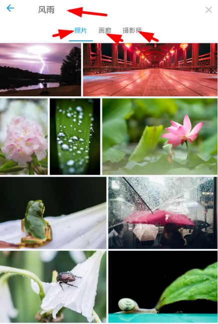 在500px中进行搜图的具体操作步骤截图