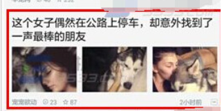 一点资讯中将图片保存的详细图文讲解截图