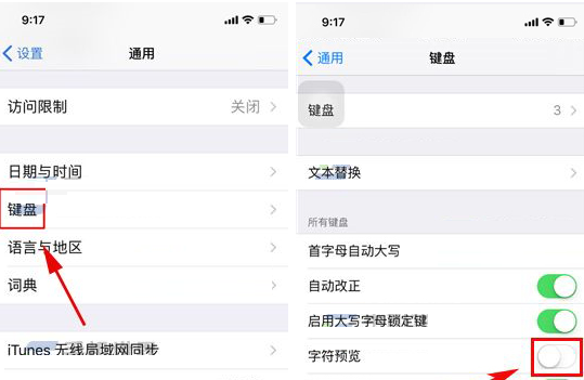 iPhone X关掉键盘字符预览的基础操作截图