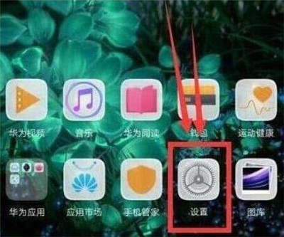 在华为畅享9s中记步数的方法介绍截图