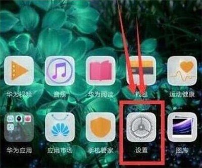 在华为nova4e设置步数的位置介绍截图