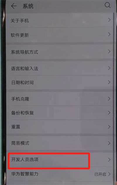 华为nova5中打开usb调试的操作教程截图