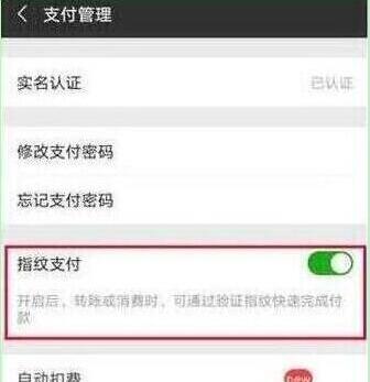 荣耀20s中设置微信指纹支付的简单操作教程截图
