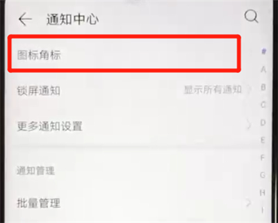 华为nova4e中关闭图标角标的操作方法截图