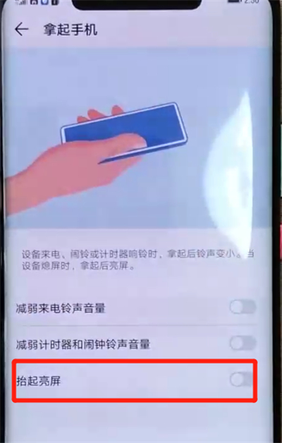 华为mate20pro中设置抬起亮屏的操作教程截图