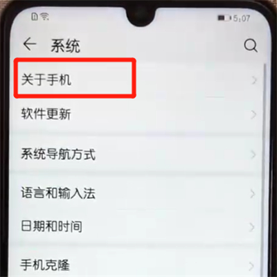 荣耀10青春版中打开开发者选项的操作教程截图