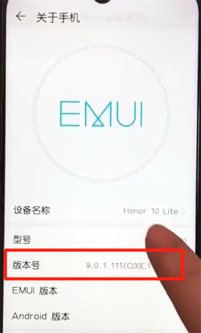 荣耀10青春版中打开开发者选项的操作教程截图