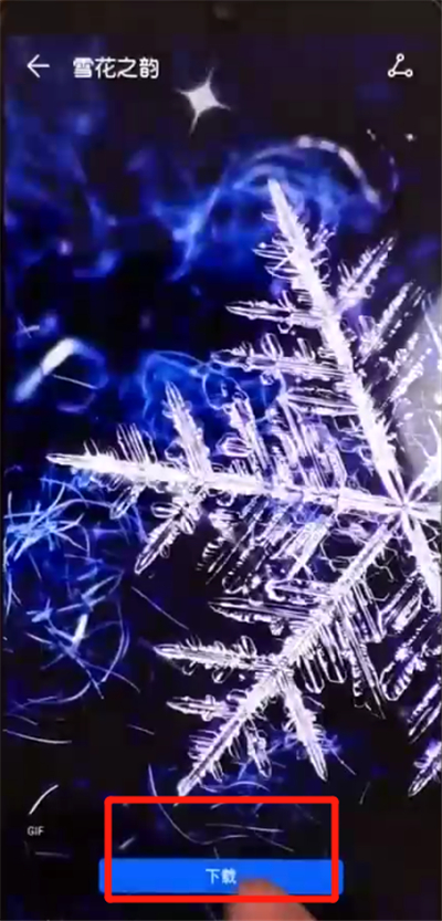 荣耀10青春版设置动态壁纸的操作教程截图