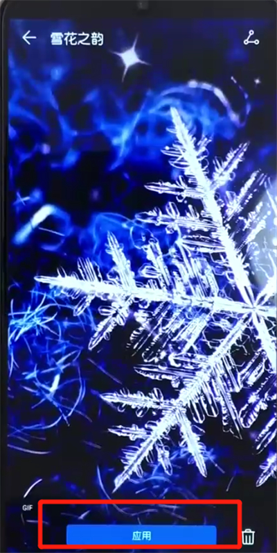 荣耀10青春版设置动态壁纸的操作教程截图