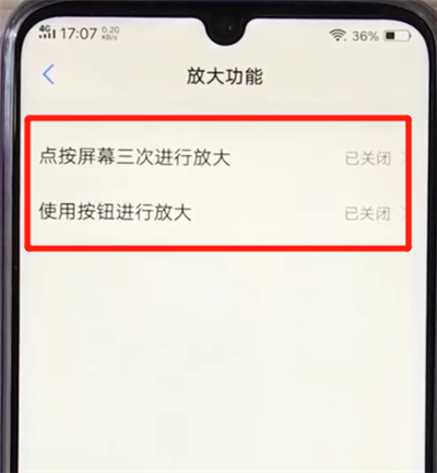 vivoz3打开放大功能的操作教程截图