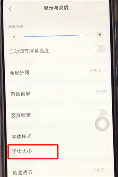 vivoz3调节字体大小的操作教程截图
