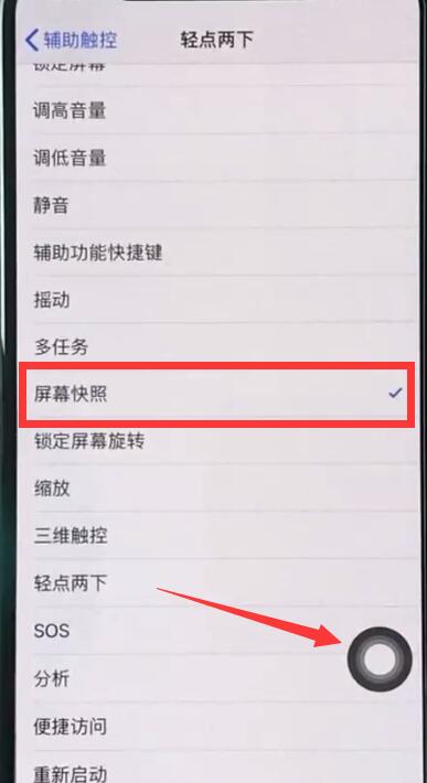 iphonexs中进行截图的操作步骤截图