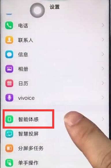 vivoz1中设置双击亮屏的操作教程截图