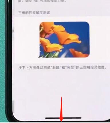 iphonexr中开启半屏功能的简单步骤截图