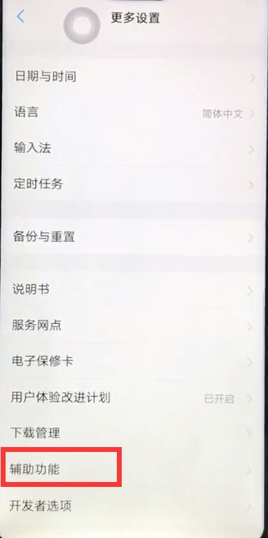 vivoz1开启放大手势基本讲述截图