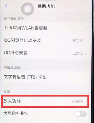 vivoz1开启放大手势基本讲述截图