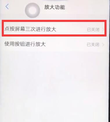 vivoz1开启放大手势基本讲述截图