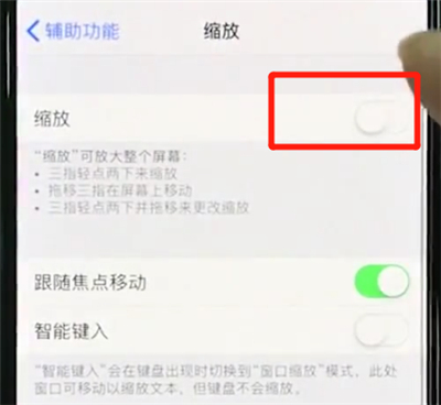 iphonexs中使用缩放的操作教程截图