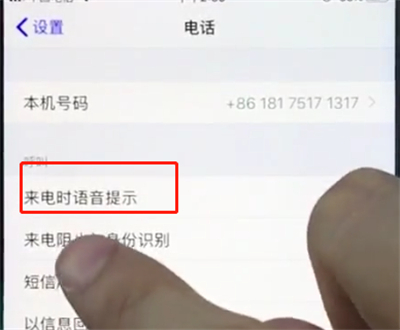 苹果8plus中打开来电语音提醒的简单方法截图